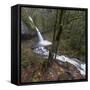 USA, Oregon, Columbia River Gorge area, ponytail falls.-Brent Bergherm-Framed Stretched Canvas