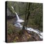 USA, Oregon, Columbia River Gorge area, ponytail falls.-Brent Bergherm-Stretched Canvas