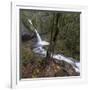 USA, Oregon, Columbia River Gorge area, ponytail falls.-Brent Bergherm-Framed Photographic Print