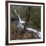 USA, Oregon, Columbia River Gorge area, ponytail falls.-Brent Bergherm-Framed Photographic Print