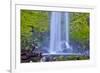 USA, Oregon, Columbia River Gorge, Elwha Falls cascading on the rocks-Hollice Looney-Framed Premium Photographic Print