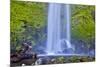 USA, Oregon, Columbia River Gorge, Elwha Falls cascading on the rocks-Hollice Looney-Mounted Premium Photographic Print