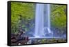 USA, Oregon, Columbia River Gorge, Elwha Falls cascading on the rocks-Hollice Looney-Framed Stretched Canvas