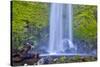 USA, Oregon, Columbia River Gorge, Elwha Falls cascading on the rocks-Hollice Looney-Stretched Canvas