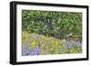 USA, Oregon, Columbia River Gorge, Field Along Dalles Mountain Road-Hollice Looney-Framed Photographic Print