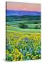 USA, Oregon, Columbia River Gorge landscape of field and Mt. Hood-Hollice Looney-Stretched Canvas