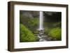 USA, Oregon, Columbia River Gorge. Latourell Falls landscape.-Jaynes Gallery-Framed Photographic Print