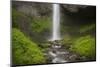 USA, Oregon, Columbia River Gorge. Latourell Falls landscape.-Jaynes Gallery-Mounted Photographic Print