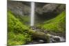 USA, Oregon, Columbia River Gorge. Latourell Falls landscape.-Jaynes Gallery-Mounted Photographic Print