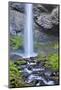 USA, Oregon, Columbia River Gorge, Latourell Falls-Hollice Looney-Mounted Photographic Print