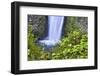 USA, Oregon, Columbia River Gorge, Multnomah Falls-Hollice Looney-Framed Photographic Print