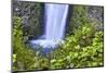 USA, Oregon, Columbia River Gorge, Multnomah Falls-Hollice Looney-Mounted Photographic Print