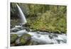 USA, Oregon, Columbia River Gorge, Ponytail Falls-Rob Tilley-Framed Photographic Print