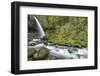 USA, Oregon, Columbia River Gorge, Ponytail Falls-Rob Tilley-Framed Photographic Print