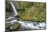 USA, Oregon, Columbia River Gorge, Ponytail Falls-Rob Tilley-Mounted Photographic Print