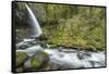 USA, Oregon, Columbia River Gorge, Ponytail Falls-Rob Tilley-Framed Stretched Canvas