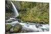 USA, Oregon, Columbia River Gorge, Ponytail Falls-Rob Tilley-Stretched Canvas