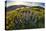 USA, Oregon, Columbia River Gorge, Rowena Crest at sunrise-Hollice Looney-Stretched Canvas