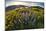 USA, Oregon, Columbia River Gorge, Rowena Crest at sunrise-Hollice Looney-Mounted Photographic Print