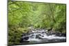 USA, Oregon, Columbia River Gorge, Tanner Creek.-Rob Tilley-Mounted Photographic Print