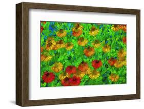 USA, Oregon, Coos Bay. Abstract of flower garden.-Jaynes Gallery-Framed Photographic Print