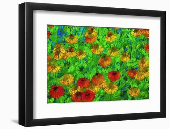 USA, Oregon, Coos Bay. Abstract of flower garden.-Jaynes Gallery-Framed Photographic Print