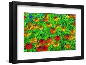 USA, Oregon, Coos Bay. Abstract of flower garden.-Jaynes Gallery-Framed Photographic Print