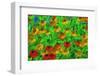 USA, Oregon, Coos Bay. Abstract of flower garden.-Jaynes Gallery-Framed Photographic Print