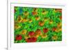 USA, Oregon, Coos Bay. Abstract of flower garden.-Jaynes Gallery-Framed Photographic Print