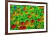 USA, Oregon, Coos Bay. Abstract of flower garden.-Jaynes Gallery-Framed Photographic Print