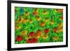 USA, Oregon, Coos Bay. Abstract of flower garden.-Jaynes Gallery-Framed Photographic Print