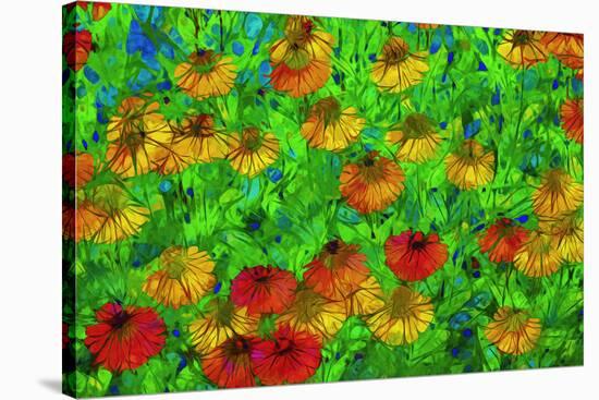 USA, Oregon, Coos Bay. Abstract of flower garden.-Jaynes Gallery-Stretched Canvas