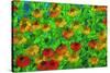 USA, Oregon, Coos Bay. Abstract of flower garden.-Jaynes Gallery-Stretched Canvas