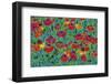 USA, Oregon, Coos Bay. Abstract of Helenium flowers in garden.-Jaynes Gallery-Framed Photographic Print