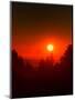 USA, Oregon, Crater Lake NP. Sunset over forest.-Jaynes Gallery-Mounted Photographic Print