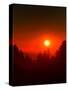 USA, Oregon, Crater Lake NP. Sunset over forest.-Jaynes Gallery-Stretched Canvas