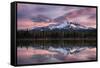 USA, Oregon. Deschutes National Forest, Broken Top, pink sunrise at Sparks Lake.-Mark Williford-Framed Stretched Canvas