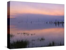 USA, Oregon. Deschutes National Forest, pastel sky at dawn and fog over Crane Prairie Reservoir.-John Barger-Stretched Canvas