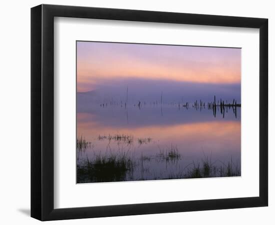 USA, Oregon. Deschutes National Forest, pastel sky at dawn and fog over Crane Prairie Reservoir.-John Barger-Framed Photographic Print