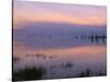 USA, Oregon. Deschutes National Forest, pastel sky at dawn and fog over Crane Prairie Reservoir.-John Barger-Stretched Canvas