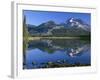 USA, Oregon, Deschutes National Forest. South Sister reflecting in Sparks Lake in early morning.-John Barger-Framed Photographic Print