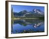 USA, Oregon, Deschutes National Forest. South Sister reflecting in Sparks Lake in early morning.-John Barger-Framed Photographic Print