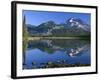 USA, Oregon, Deschutes National Forest. South Sister reflecting in Sparks Lake in early morning.-John Barger-Framed Photographic Print