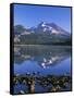 USA, Oregon. Deschutes National Forest, South Sister reflects in Sparks Lake in early morning.-John Barger-Framed Stretched Canvas