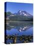 USA, Oregon. Deschutes National Forest, South Sister reflects in Sparks Lake in early morning.-John Barger-Stretched Canvas