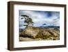 USA, Oregon, Deschutes National Forest. Three Sisters Wilderness, Mt. Jefferson from Three-Fingered-Mark Williford-Framed Photographic Print