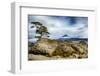 USA, Oregon, Deschutes National Forest. Three Sisters Wilderness, Mt. Jefferson from Three-Fingered-Mark Williford-Framed Photographic Print