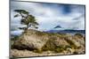 USA, Oregon, Deschutes National Forest. Three Sisters Wilderness, Mt. Jefferson from Three-Fingered-Mark Williford-Mounted Photographic Print