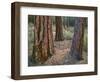 USA, Oregon, Deschutes National Forest. Trunks of mature ponderosa pine in autumn, Metolius Valley.-John Barger-Framed Photographic Print