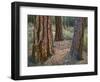 USA, Oregon, Deschutes National Forest. Trunks of mature ponderosa pine in autumn, Metolius Valley.-John Barger-Framed Photographic Print